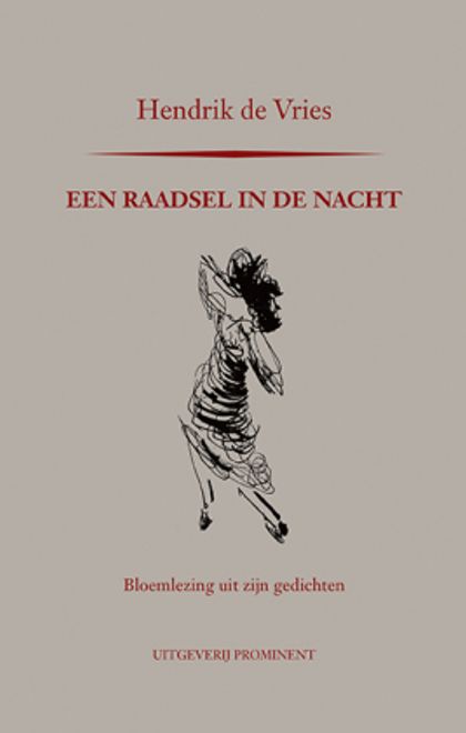 Hendrik de Vries, Een raadsel in de nacht